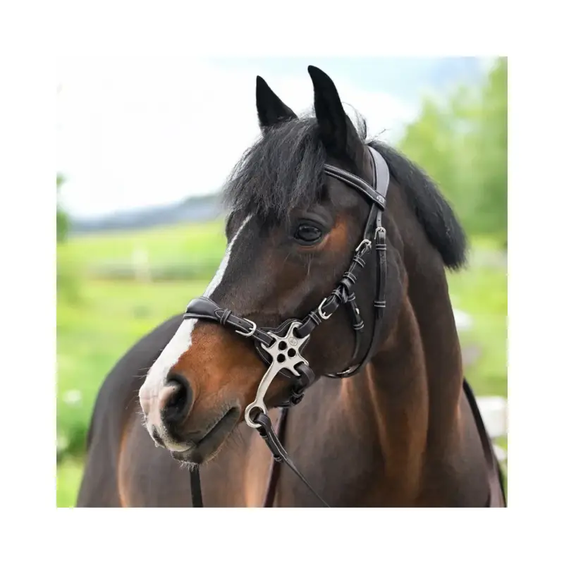 Bridon Hackamore Jump'In One Premium Offerta Del Giorno