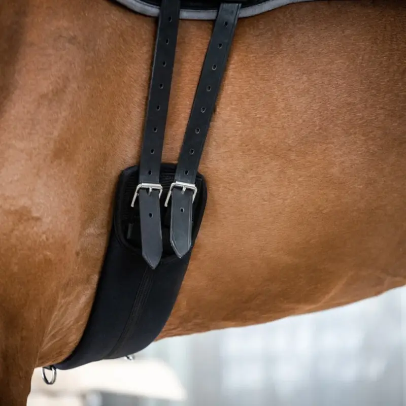 Sottopancia Stübben in neoprene corto senza elastici Saldi