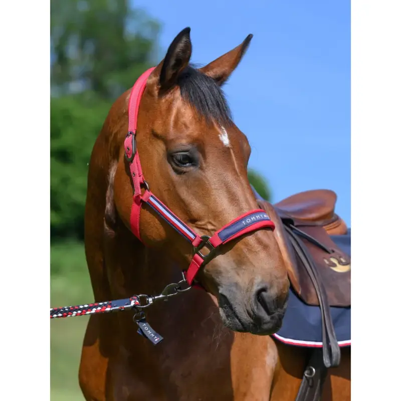 A Buon Prezzo Capestro e lunghina Tommy Hilfiger Equestrian Yale