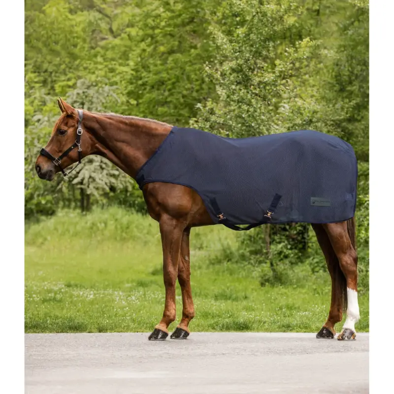 Offerta Lampo Coperta antimosche per cavallo Waldhausen Comfort