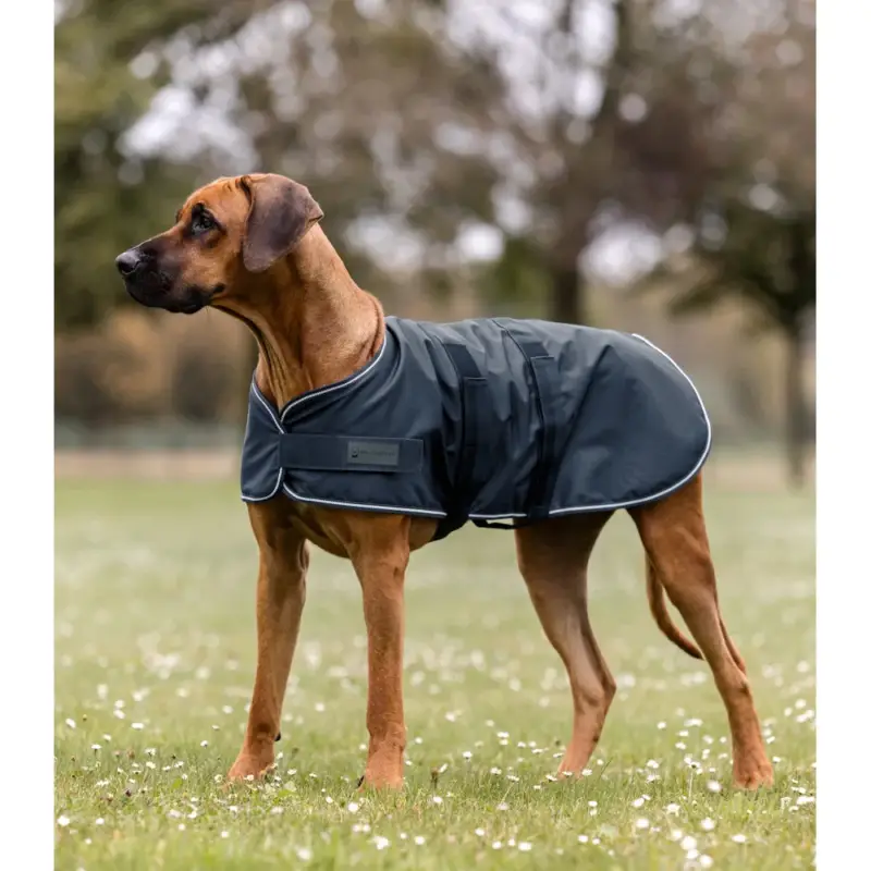 Economico Cappotto antipioggia per cane Waldhausen