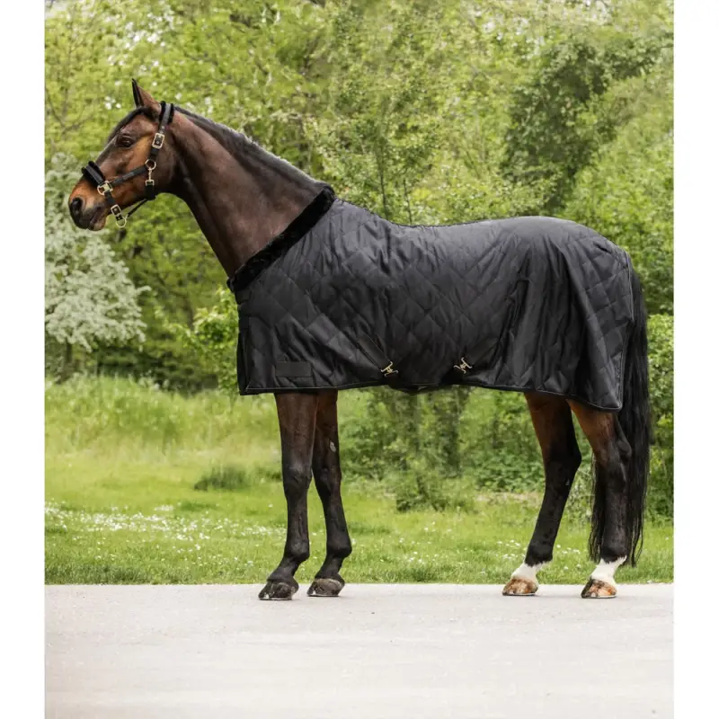 Coperta da trasporto Waldhausen Exclusive 50 g Offerta Speciale