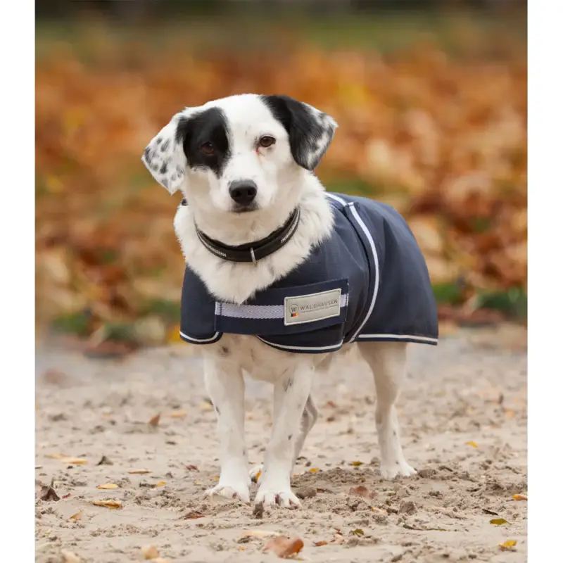 Coperta per cane Waldhausen 200 g Scelto Dai Clienti
