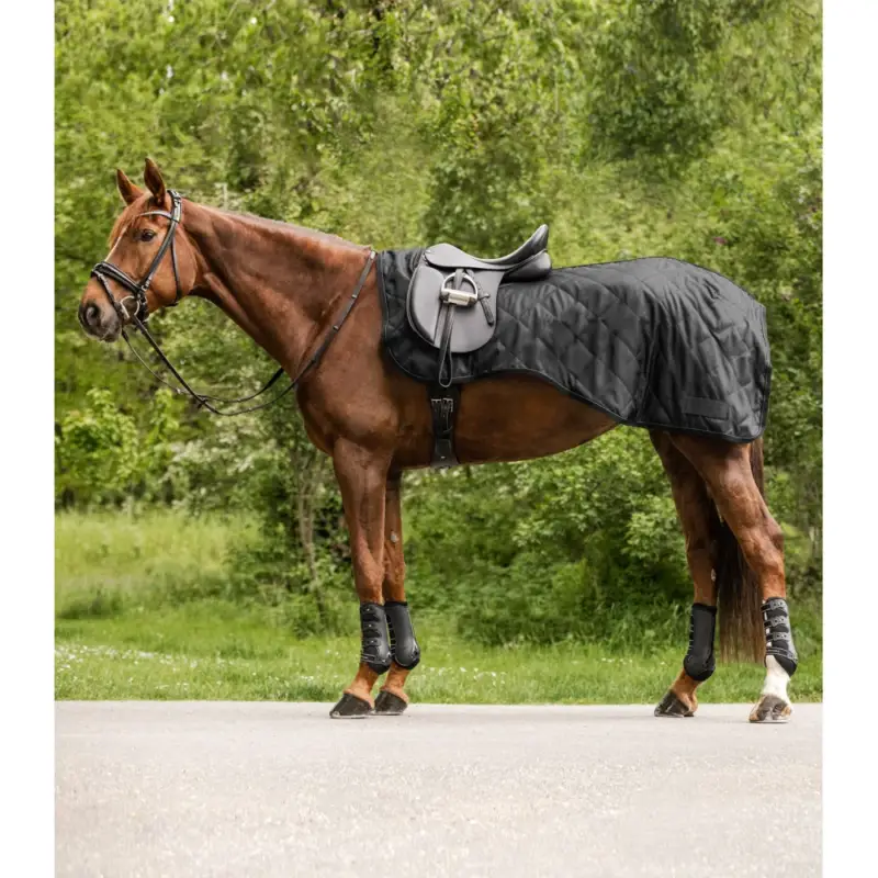 Must-Have Coprireni Waldhausen Exclusive 50 g