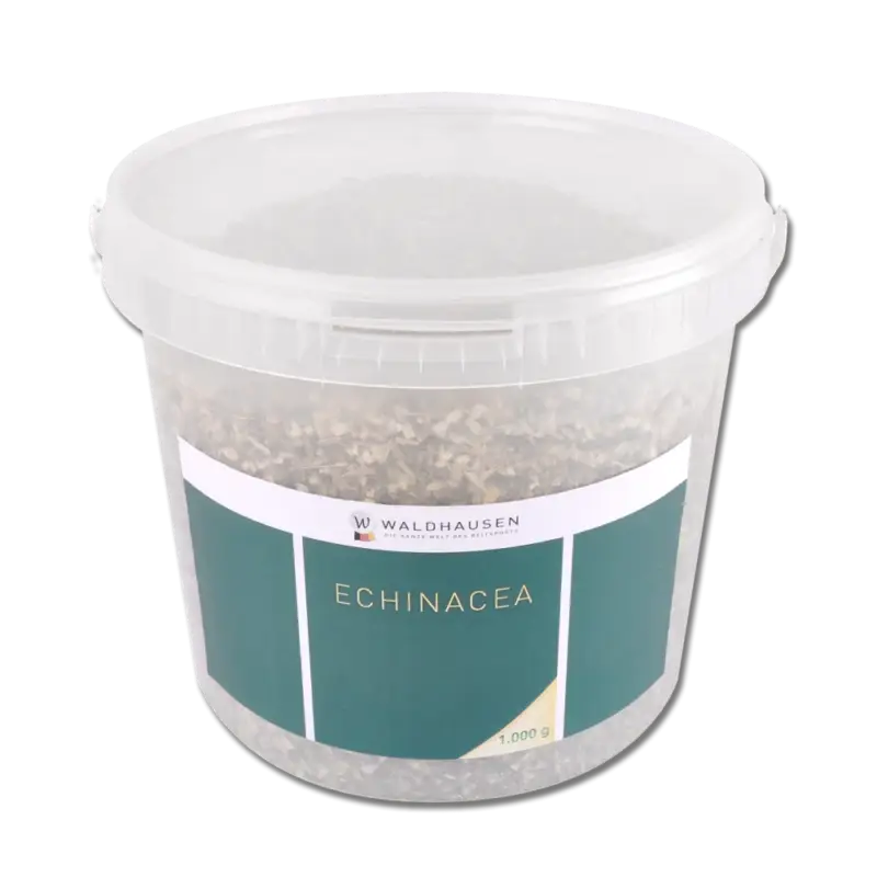 Echinacea Waldhausen Offerta Speciale