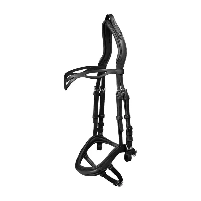 Di Tendenza Filet anatomico Waldhausen Island
