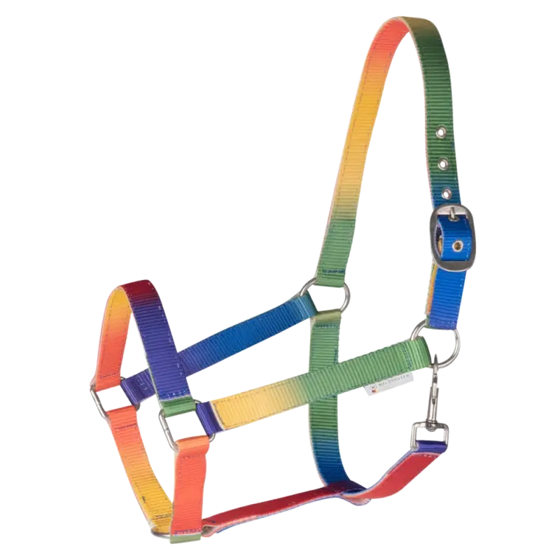 Licol Waldhause Arc-en-ciel Promozione