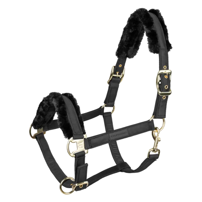 Ultime Pezzi Cavezza Waldhausen Exclusive
