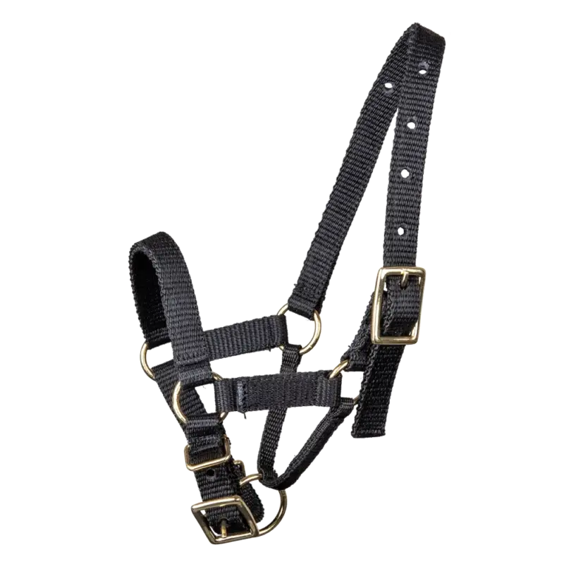 Cavezza Waldhausen per alpaca Occasione Imperdibile