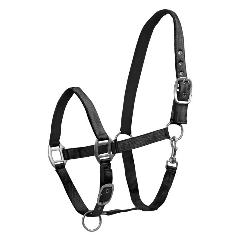 Miglior Prezzo Capestro Waldhausen Satin