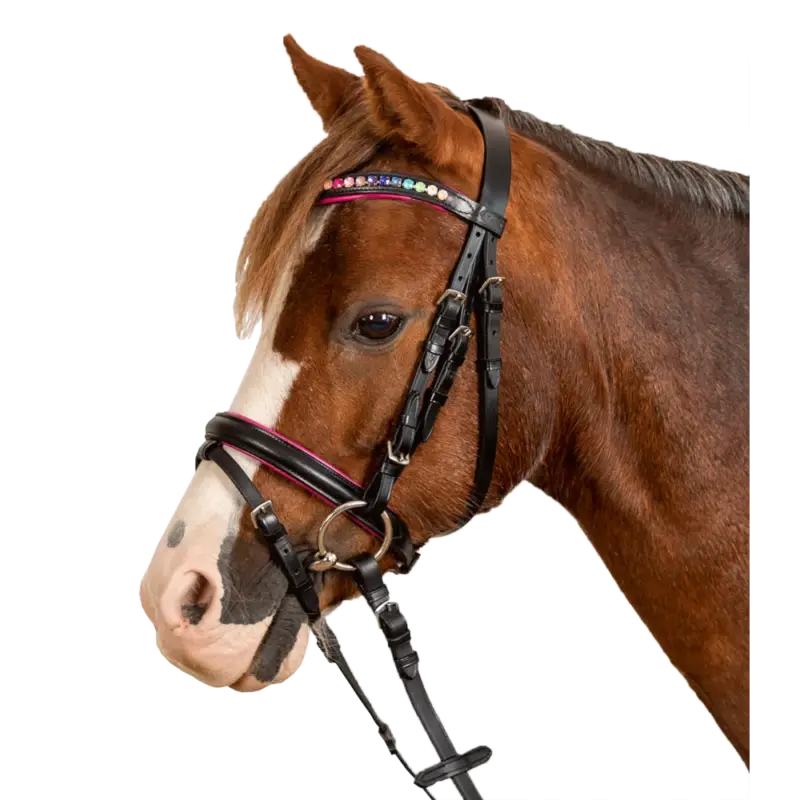 Ultima Occasione Bridon Star Pinky