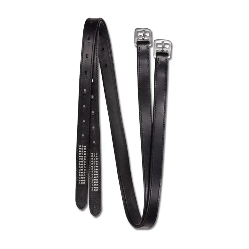 Etrivières Silverstar Star Direttamente Dal Produttore