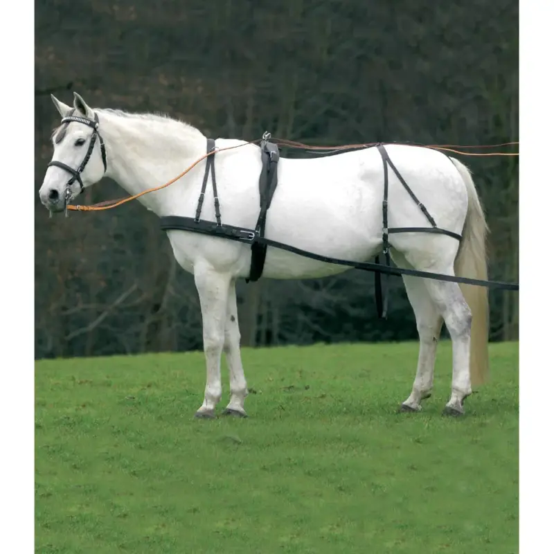 Ultimissimo Modello Imbracatura Star semplice Economic da cob a cavallo grande