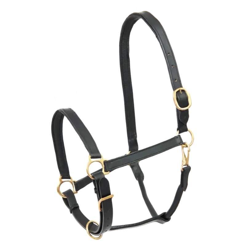Promozione Esclusiva Capezzina in cuoio Star Robust