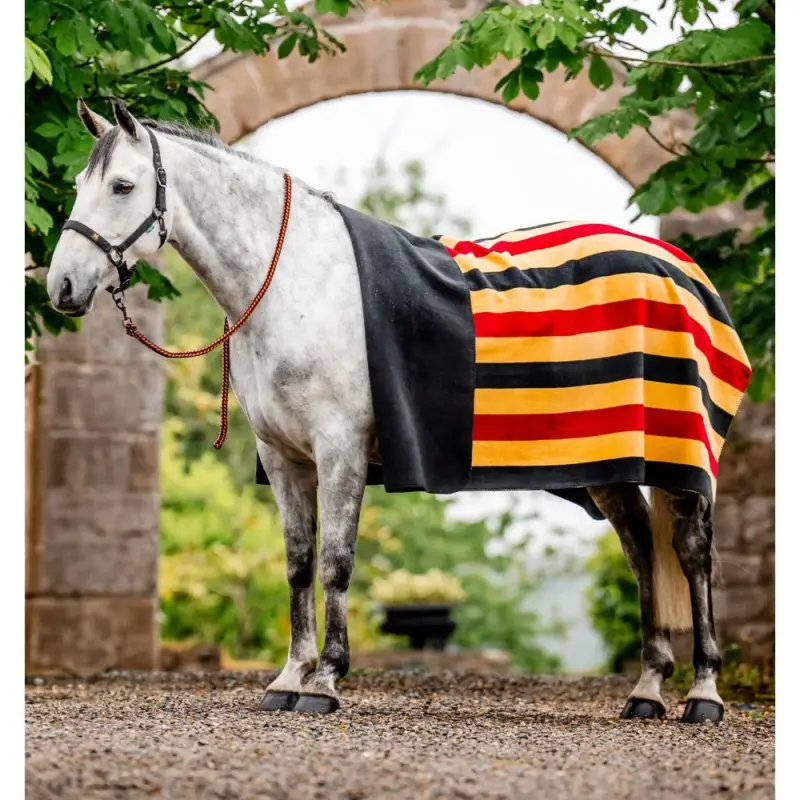 Reso Gratuito Quadrato polare Horseware Newmarket