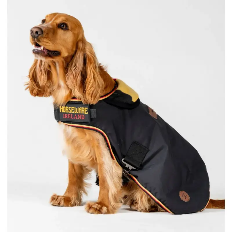 Reso Gratuito Coperta per cane Horseware Newmarket