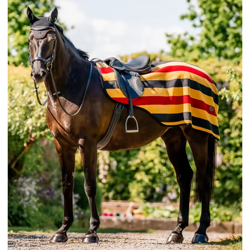 Coprireni in pile Horseware Newmarket Popolare