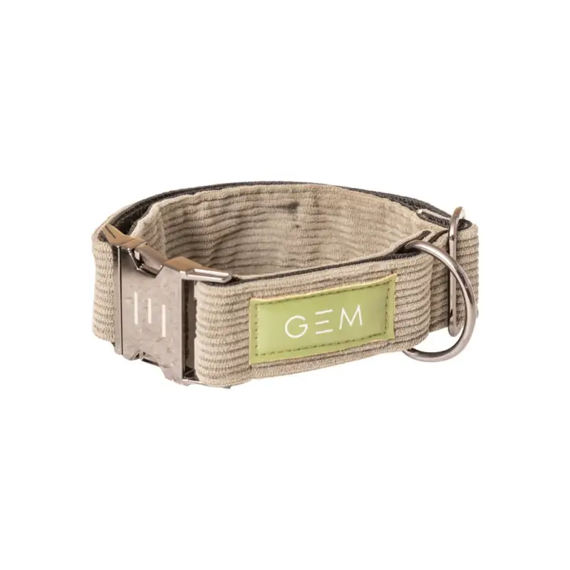 Offerta Limitata Collare GEM cane