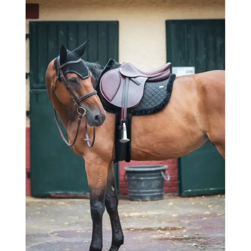 Offerta Speciale Tappeto GEM Winter