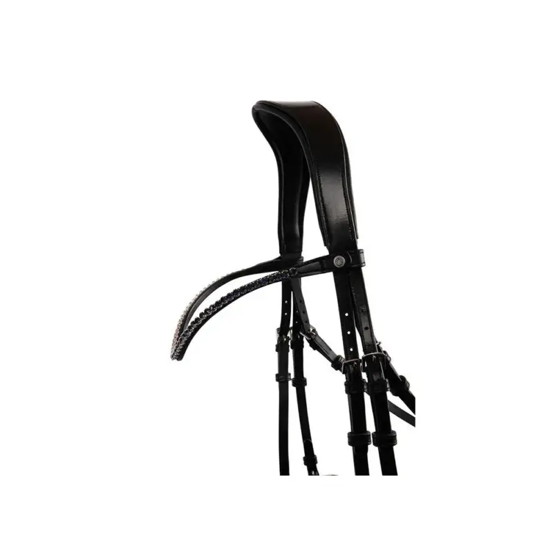 Frontale Montar Fair marine crystal curvo Offerta Limitata