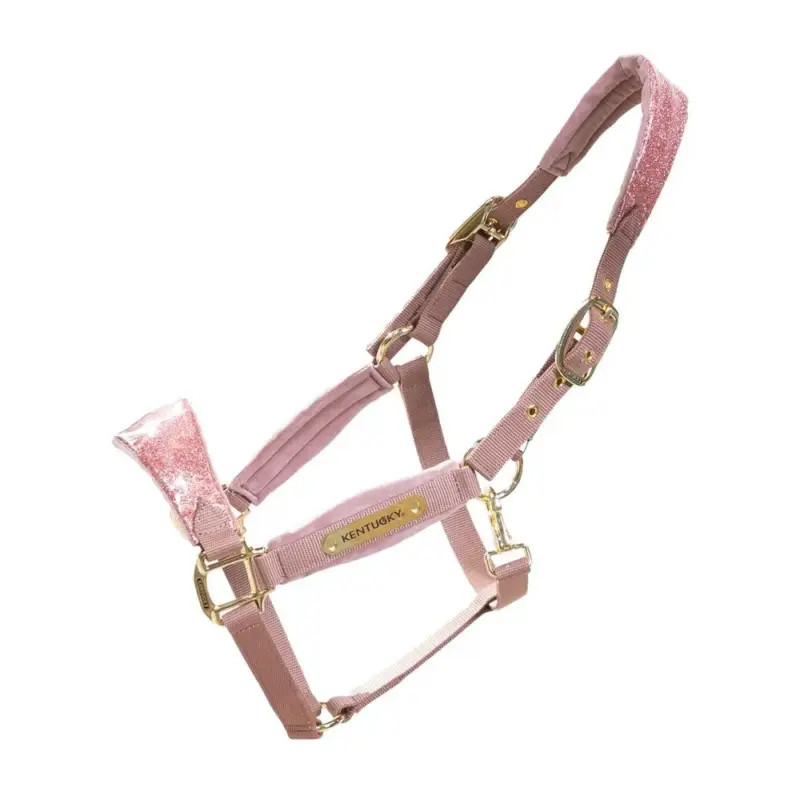 Ultimissimo Modello Capestro Velvet Unicorno glitterato Kentucky