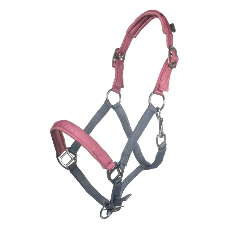 Compra Adesso Capezza HKM Barnie