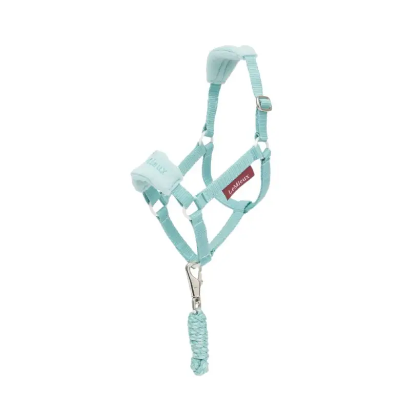 Prezzo Conveniente Capestro e lunghina Vogue Hobby Horse LeMieux