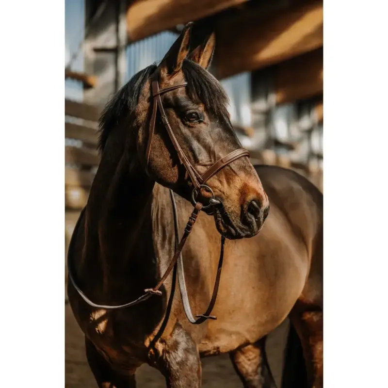 Acquista Ora Briglia Norton Hunter confortevole