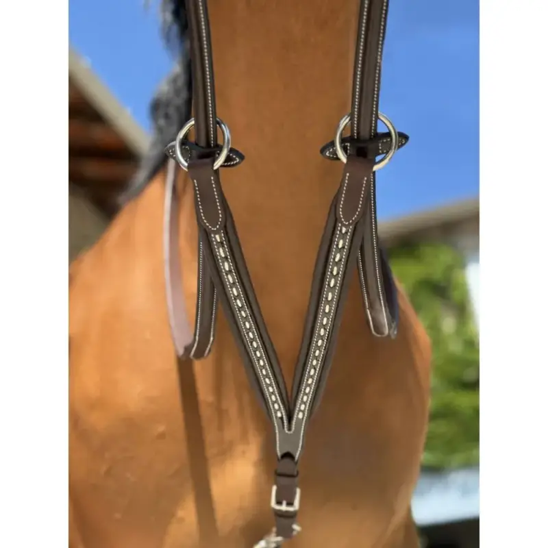 Promozione Esclusiva Freccia di martingala Pénélope Punto selleria