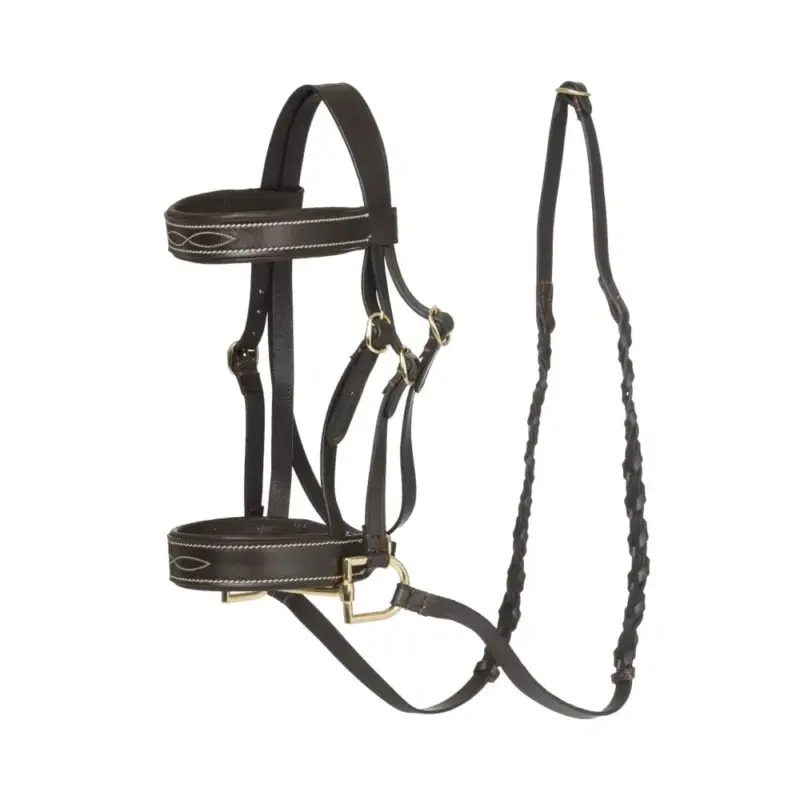Prezzo Ridotto Briglia Hunter Hobby Horse LeMieux