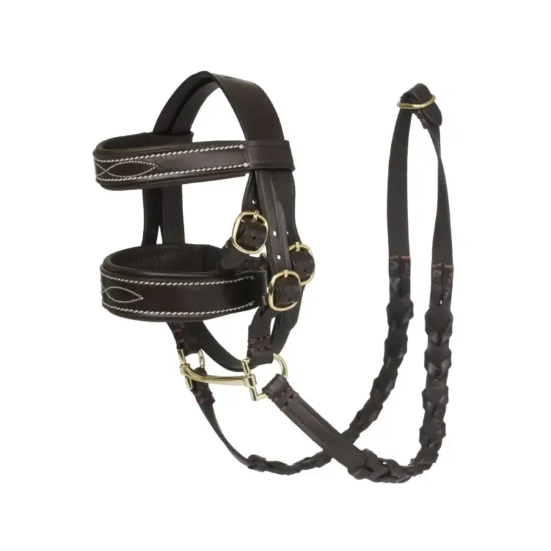 Briglia Hunter LeMieux Toy Pony Non Perdere