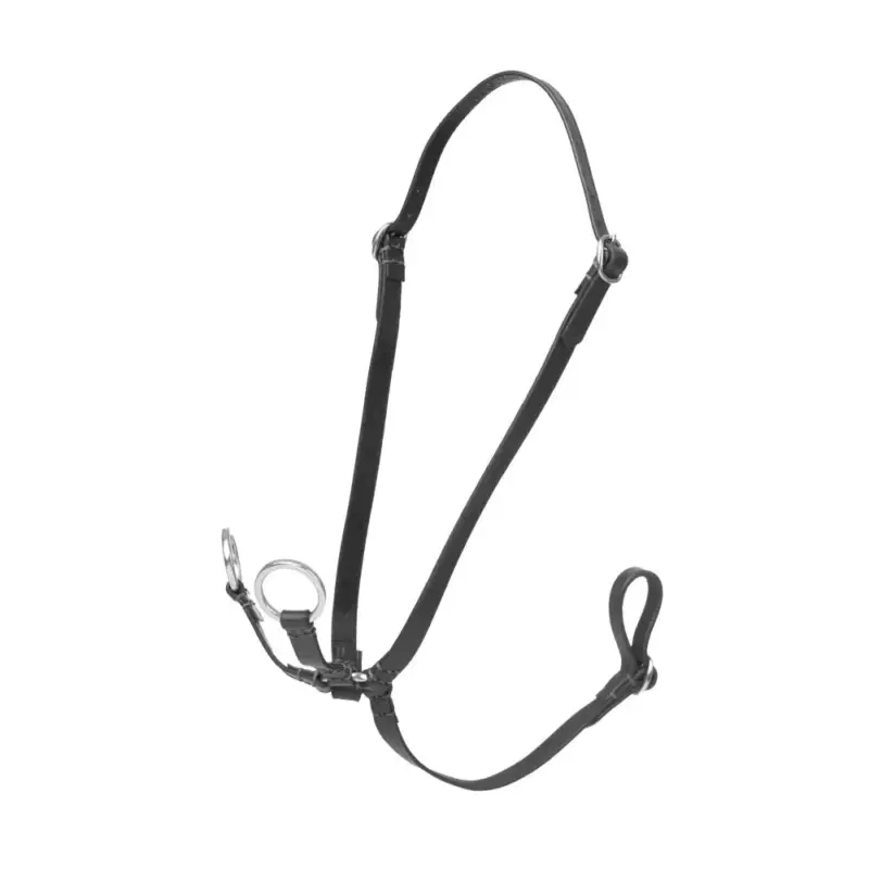 Direttamente Dal Produttore Martingala ad anelli Hobby Horse LeMieux