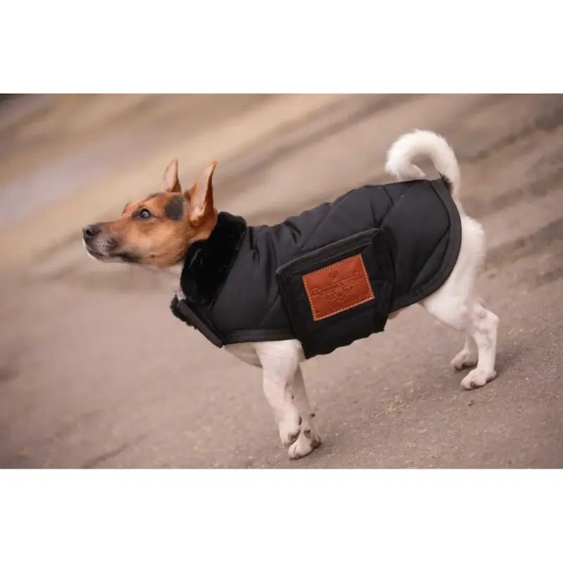 Coperta per cane Diagonal Paddock Sports Promozione