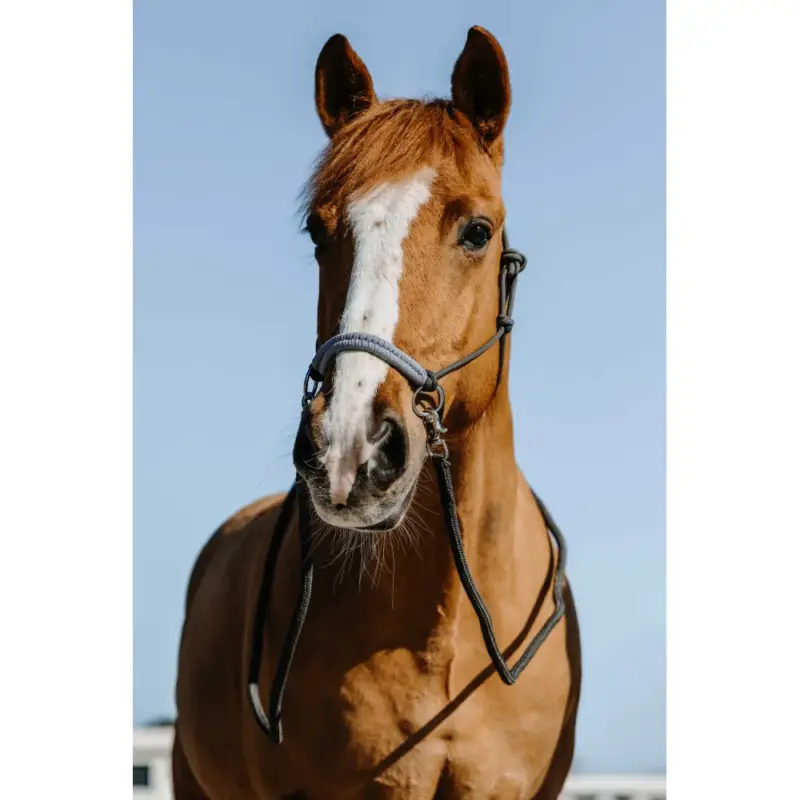 Capestri etologici + redini Norton Fancy Prezzo Ridotto