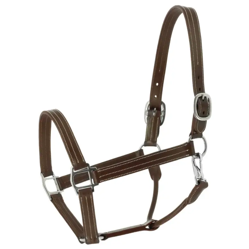 Offerta Lampo Capezza Norton US