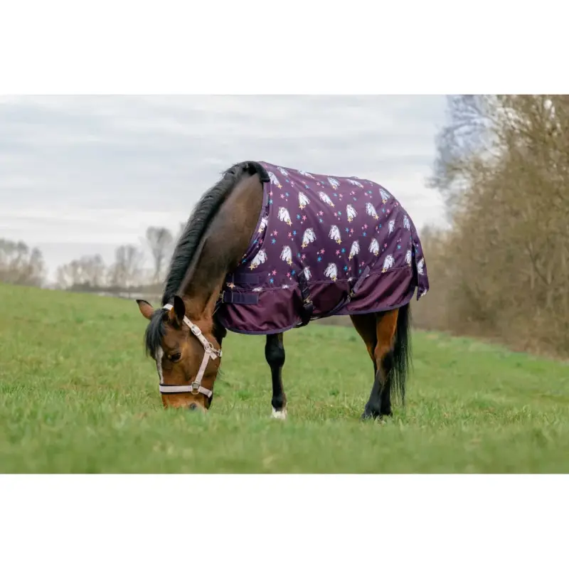 Coperta Equithème Unicorn standard 600D Economico