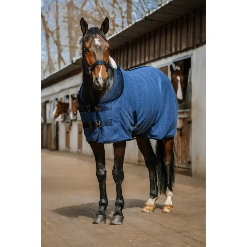 Promozione Camicia Equithème Confortech
