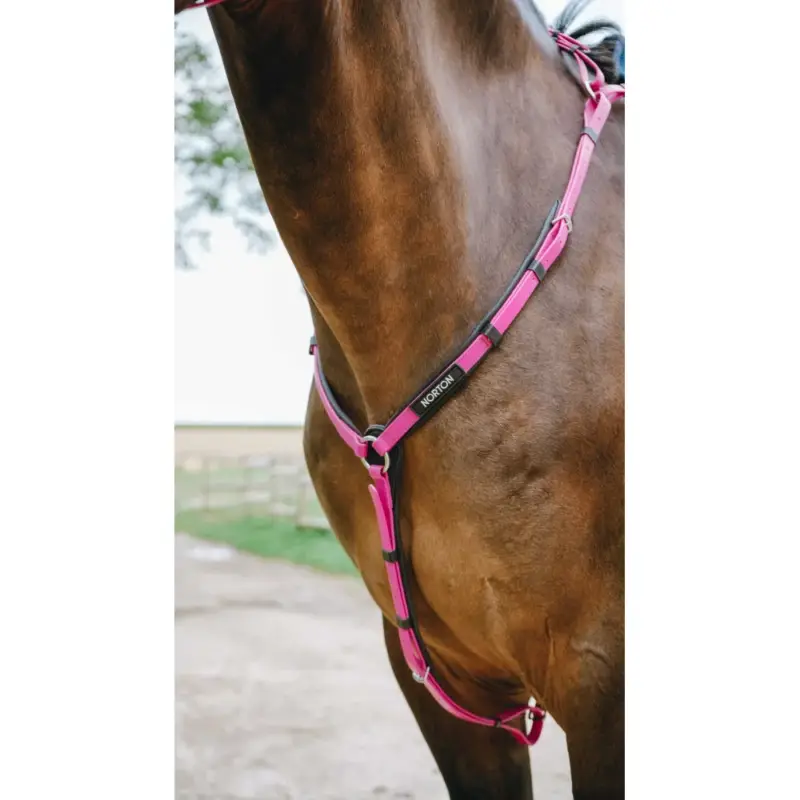Pettorale Endurance Norton Pop Nuovo Arrivo
