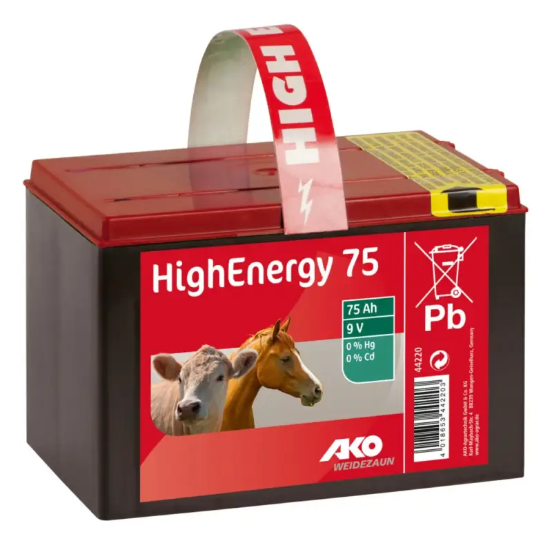 Soddisfatti O Rimborsati Pila a secco salina 9 volt High Energy AKO