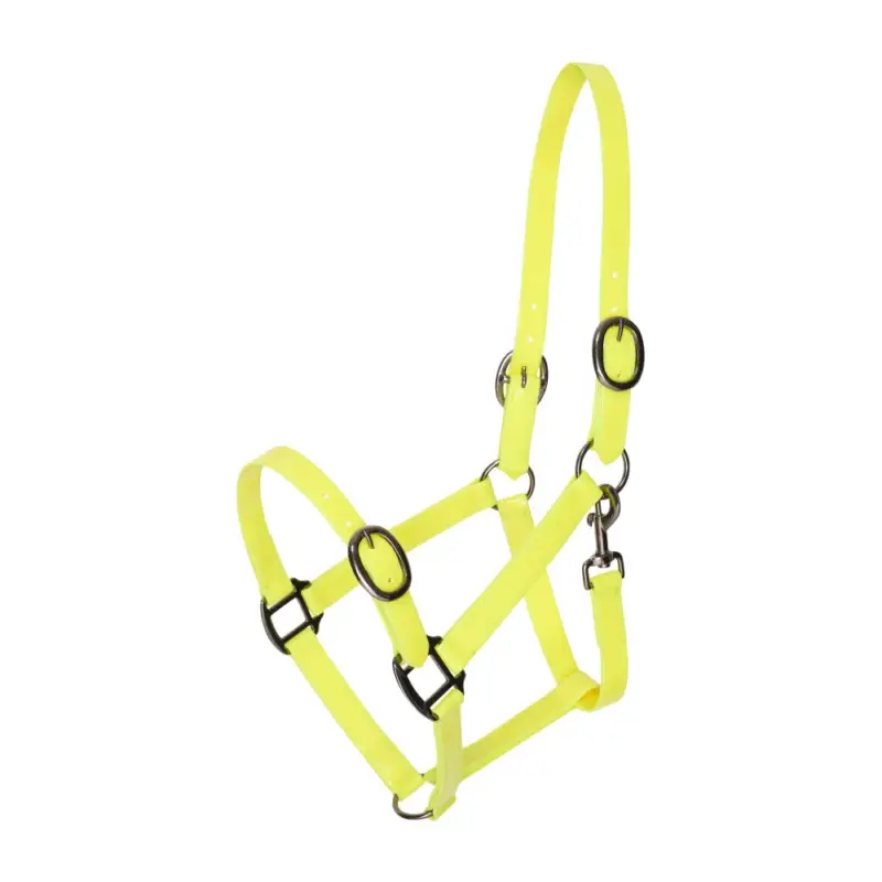 Promozione Esclusiva Capezza Imperial Riding Super-proof Lucida