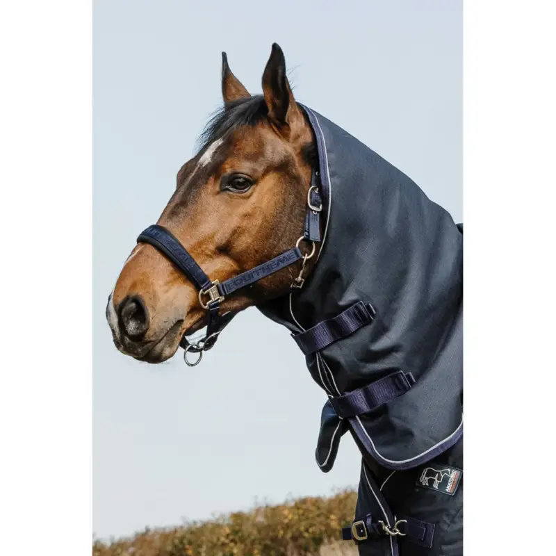 Compra Online Copricollo Equithème Anatomic Aisance 1200D