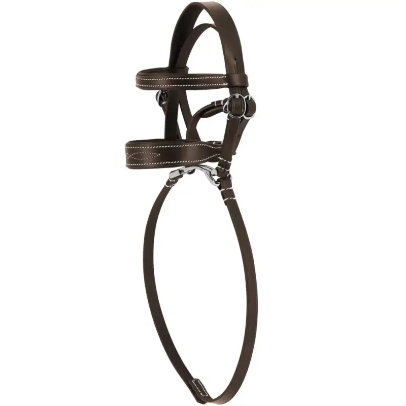 Mini-briglia Pony Academy Must-Have