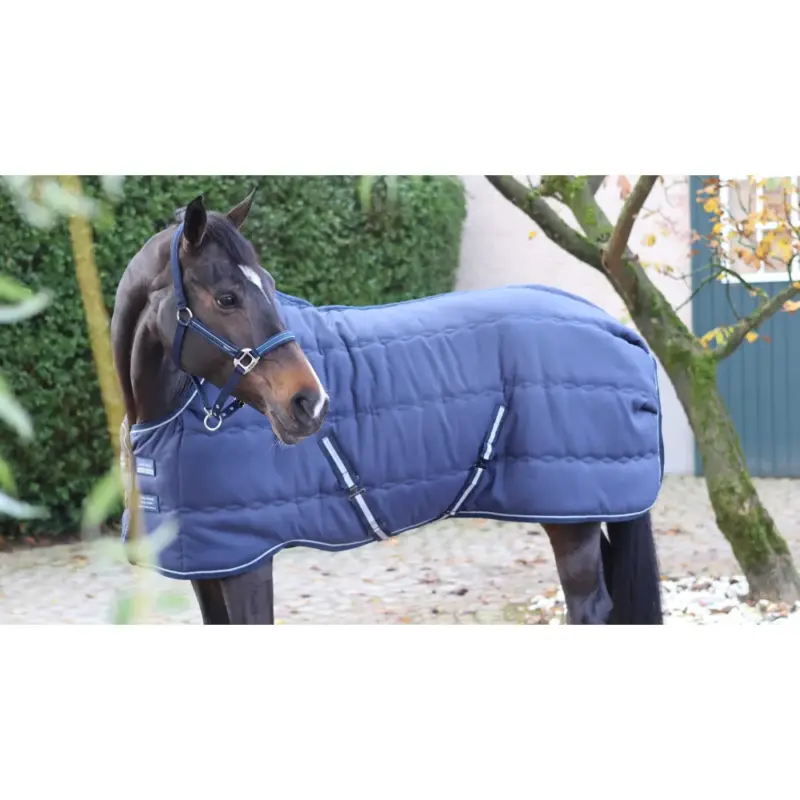 Coperta da scuderia Lami-Cell Stable Master Ultime Pezzi