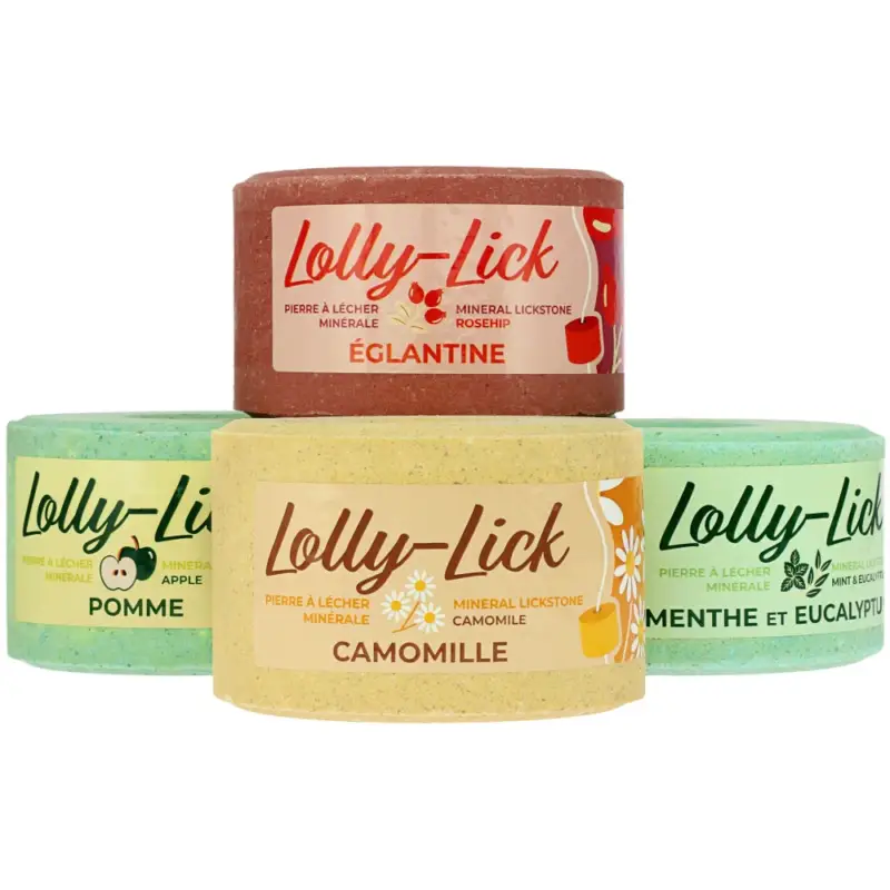 Pietra di sale Hippotonic Lolly-Lick Soddisfatti O Rimborsati