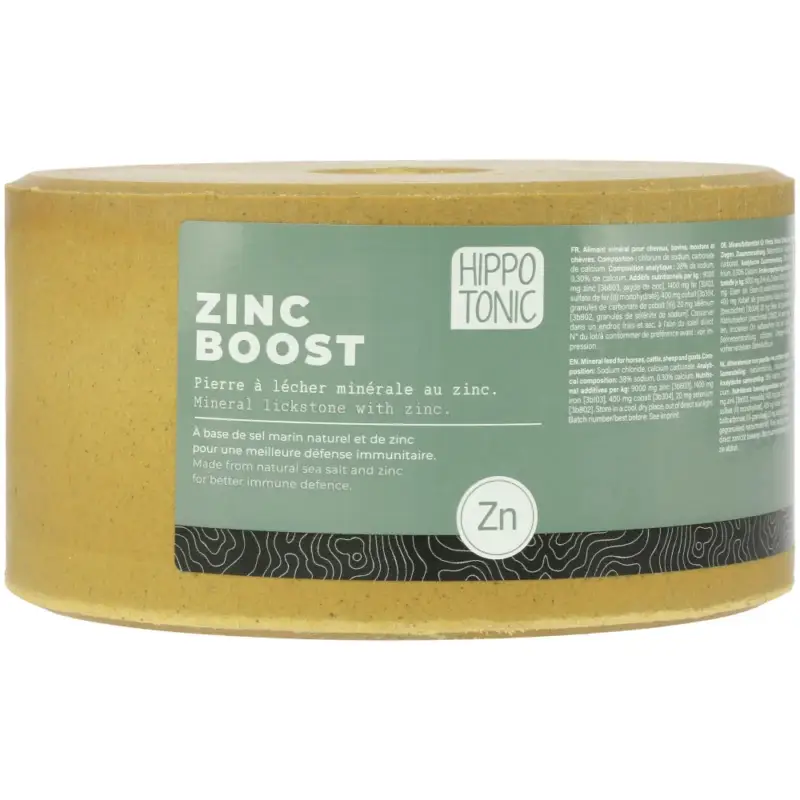 Saldi Pietra di sale Hippotonic Zinc boost