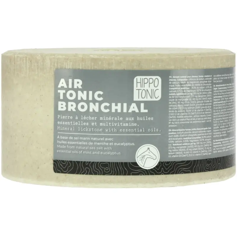 Pietra di sale Hippotonic Airtonic bronchiale Economico