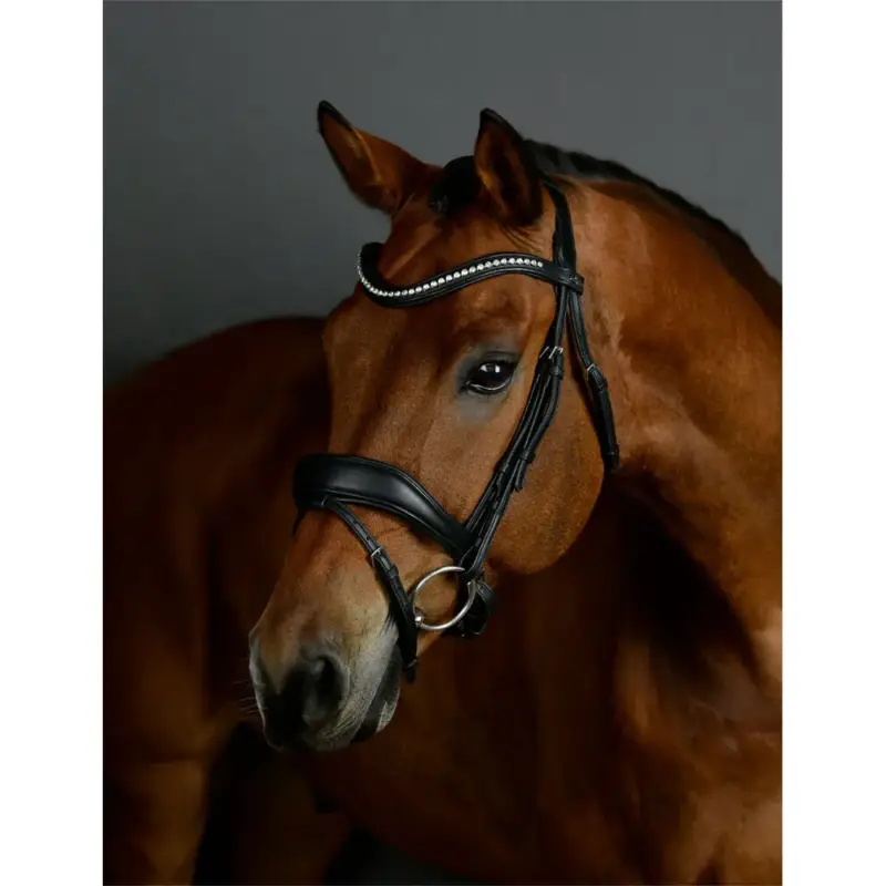 Briglia da dressage Collegiate ComFiTec Opulux imbottita Ordina Subito