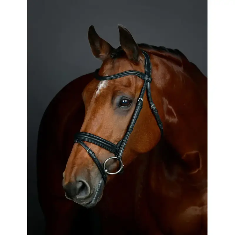 Solo Oggi Briglia Flash Hannoveriana Collegiate ComFiTec Opulux Plain Padded