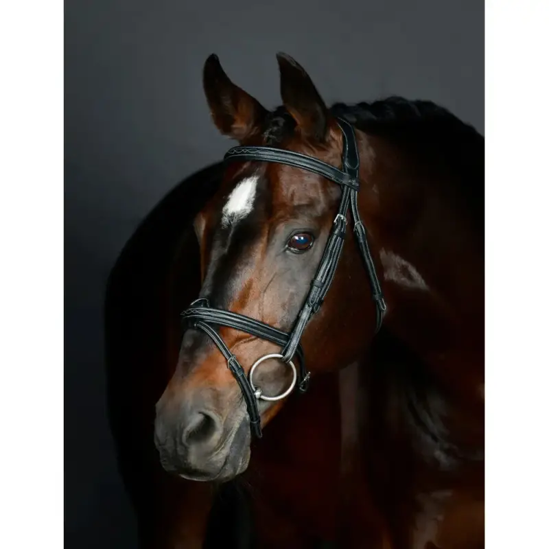 Vendita Finale Briglia hanoveriana Collegiate imbottita ComFiTec Opulux Fancy Stitch