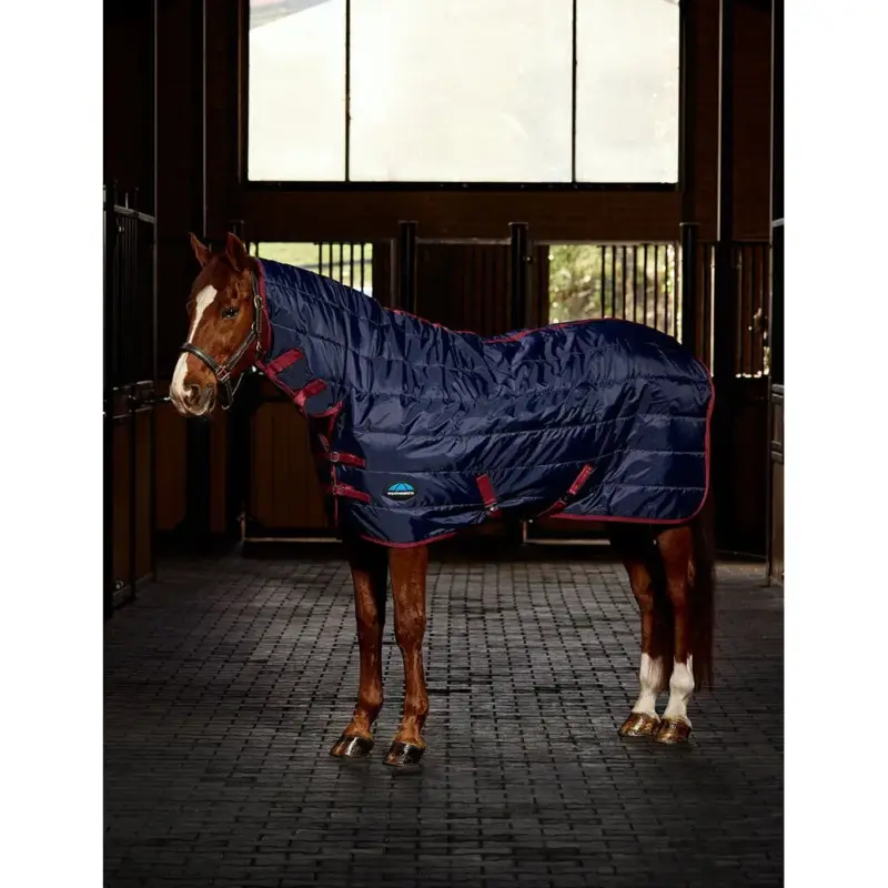 Affare Coperta da scuderia Weatherbeeta ComFiTec 210D Channel 100 g combo